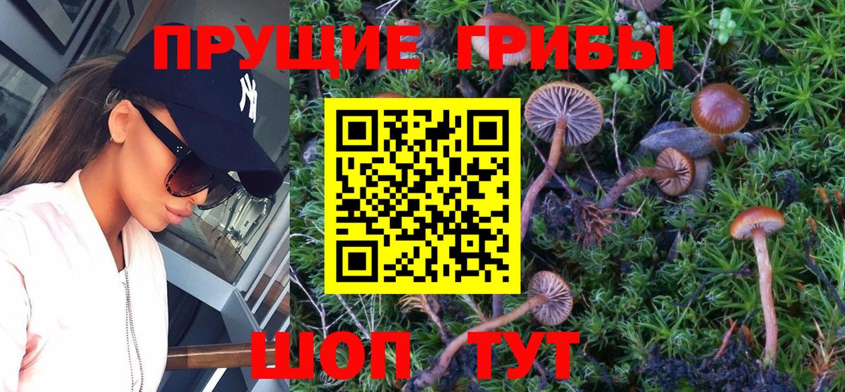 Псилоцибиновые грибы GOLDEN TEACHER Холмск