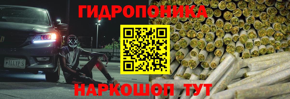 МАРИХУАНА план Холмск